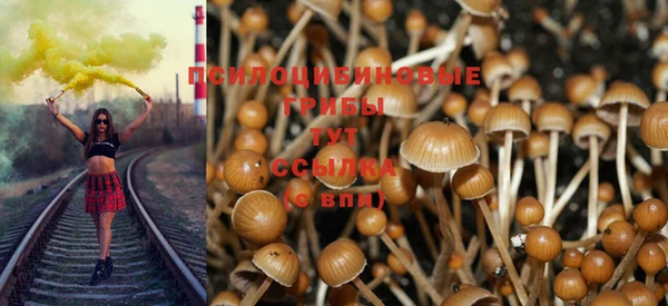 бутират Богородицк