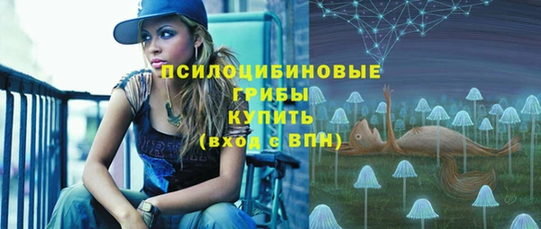 тгк Богородск
