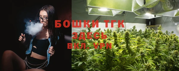 тгк Богородск