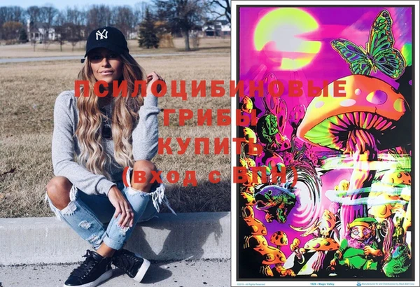 бутират Богородицк