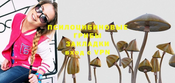 бутират Богородицк
