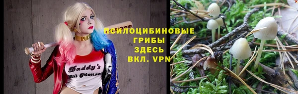 тгк Богородск