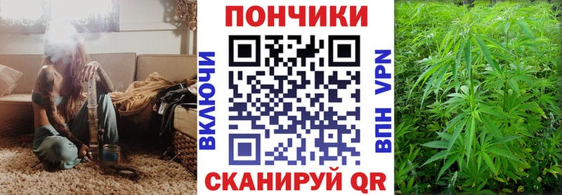 Купить где  Кимры  Шишки марихуана тримм 